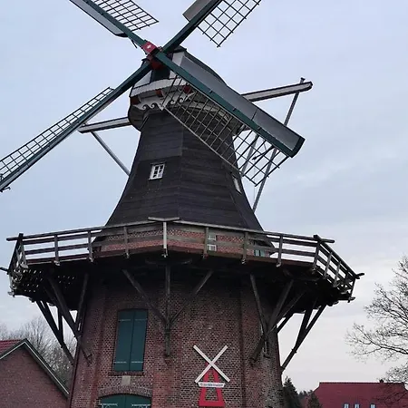 Kleinaberfein An Der Nordseekueste