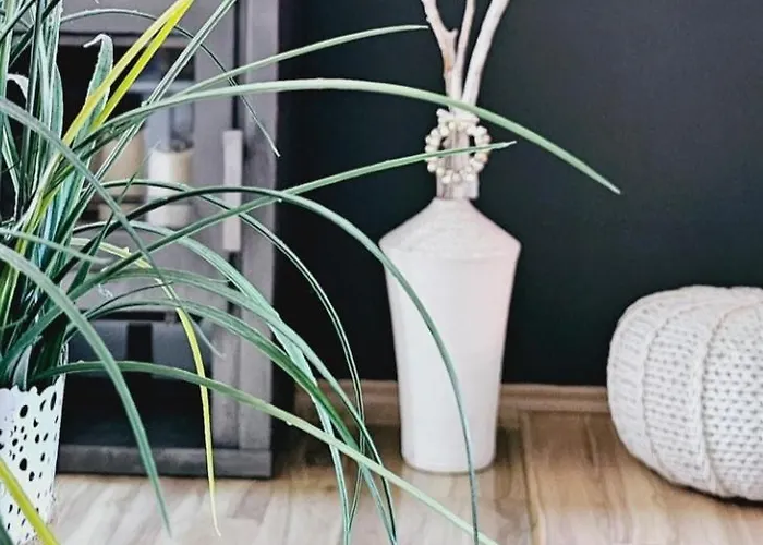 Kleinaberfein An Der Nordseekueste * Schweindorf